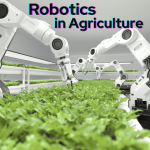 Robotics in agriculture innovation: transforming farming practices with automated technology for efficient, sustainable crop management.